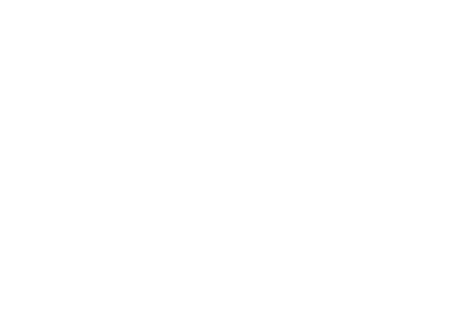 Bright Tunnel Networks logo